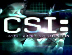 CSI: The Experience at MGM Grand