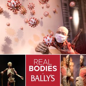 Las Vegas Scoop - Real Bodies at Bally's