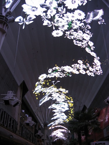 Black and white flowers during lightshow