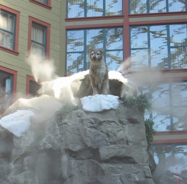 Wolf on top of a misty mountain