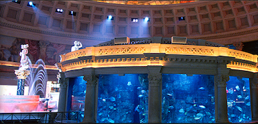 Aquarium at Fall of Atlantis