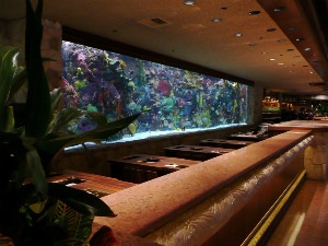 Aquarium At Mirage Hotel Las Vegas Free Attraction